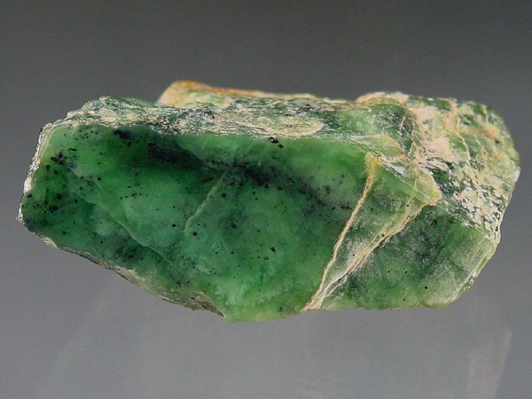 da_Williamsite